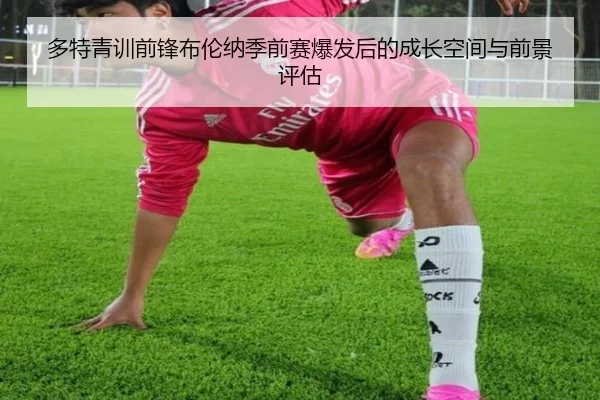 多特青训前锋布伦纳季前赛爆发后的成长空间与前景评估